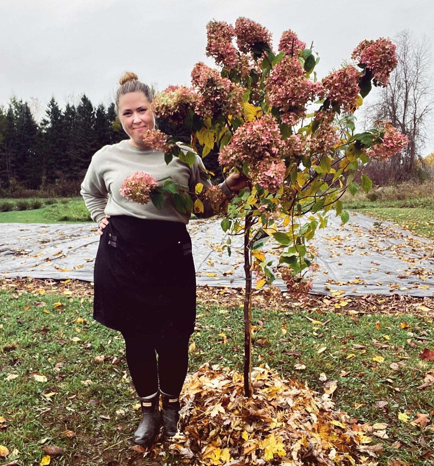 Image with text section