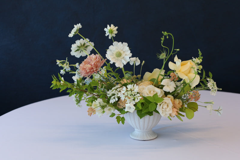 Scabiosa - White - 10 Stems/Bunch