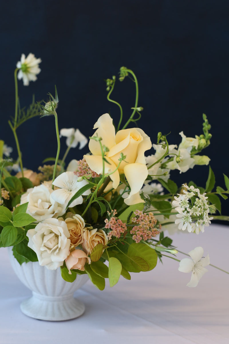 Yarrow - Mix - 20 Stems/Bunch