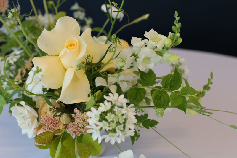 Snapdragon - Butterfly White - 10 Stems/Bunch