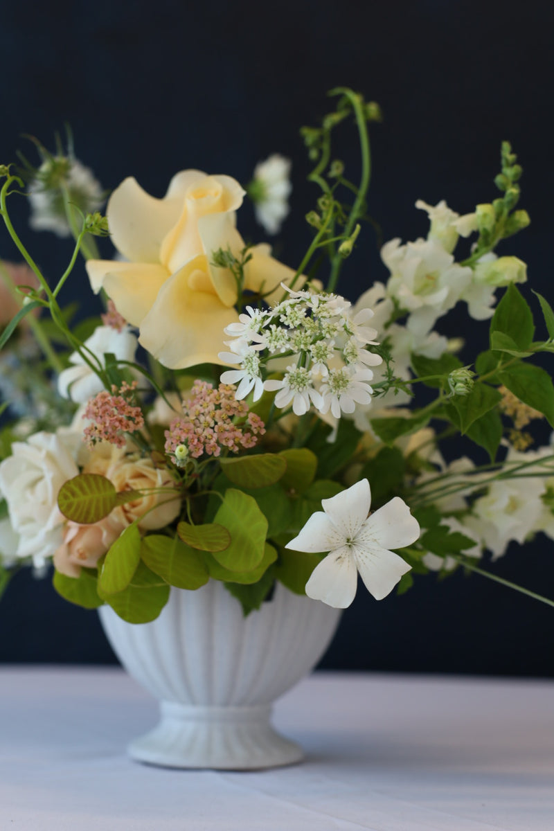 Corncockle - White - 10 Stems/Bunch